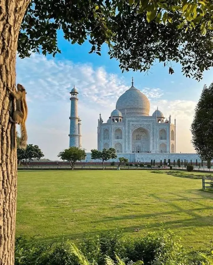 Zigzag Homestay Agra  Auberge de jeunesse Agra (Uttar Pradesh)